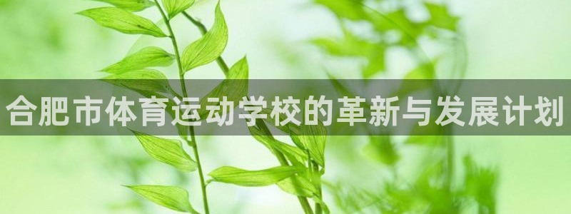 千亿国际官网下载招商电话:合肥市体育运动学校的革新与发展计划
